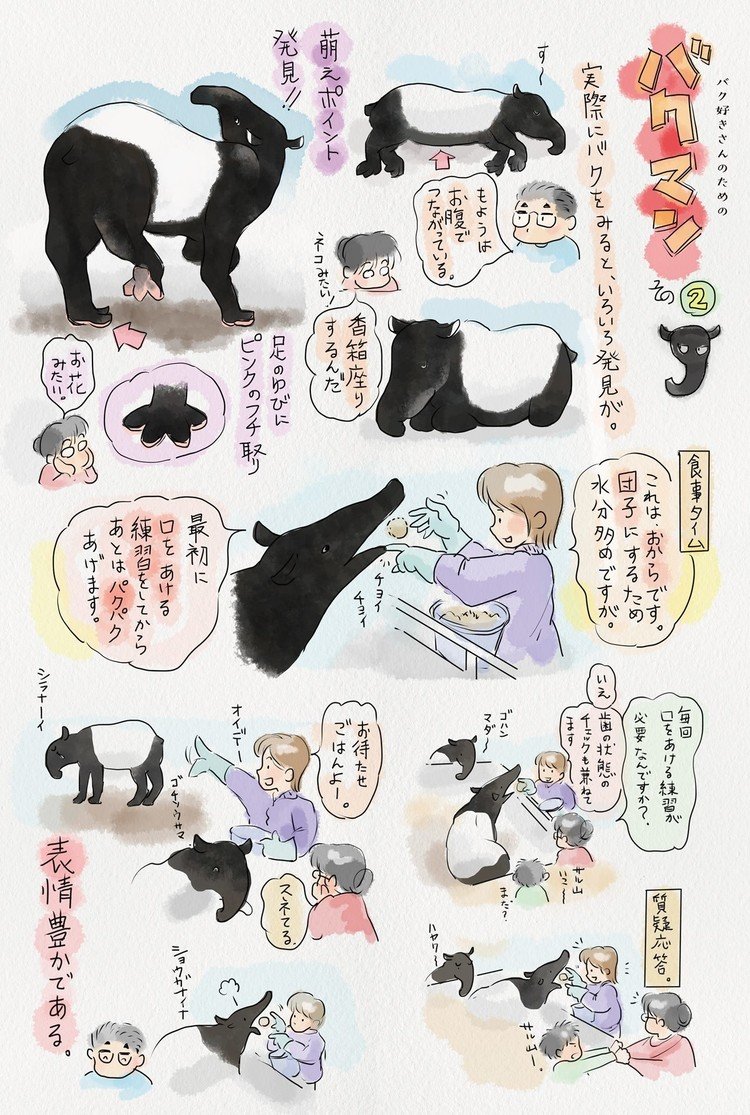 絵本「ふわふわとバク」を描くために取材した頃の話です。ジュリさんの仕草を絵本の参考にしました。