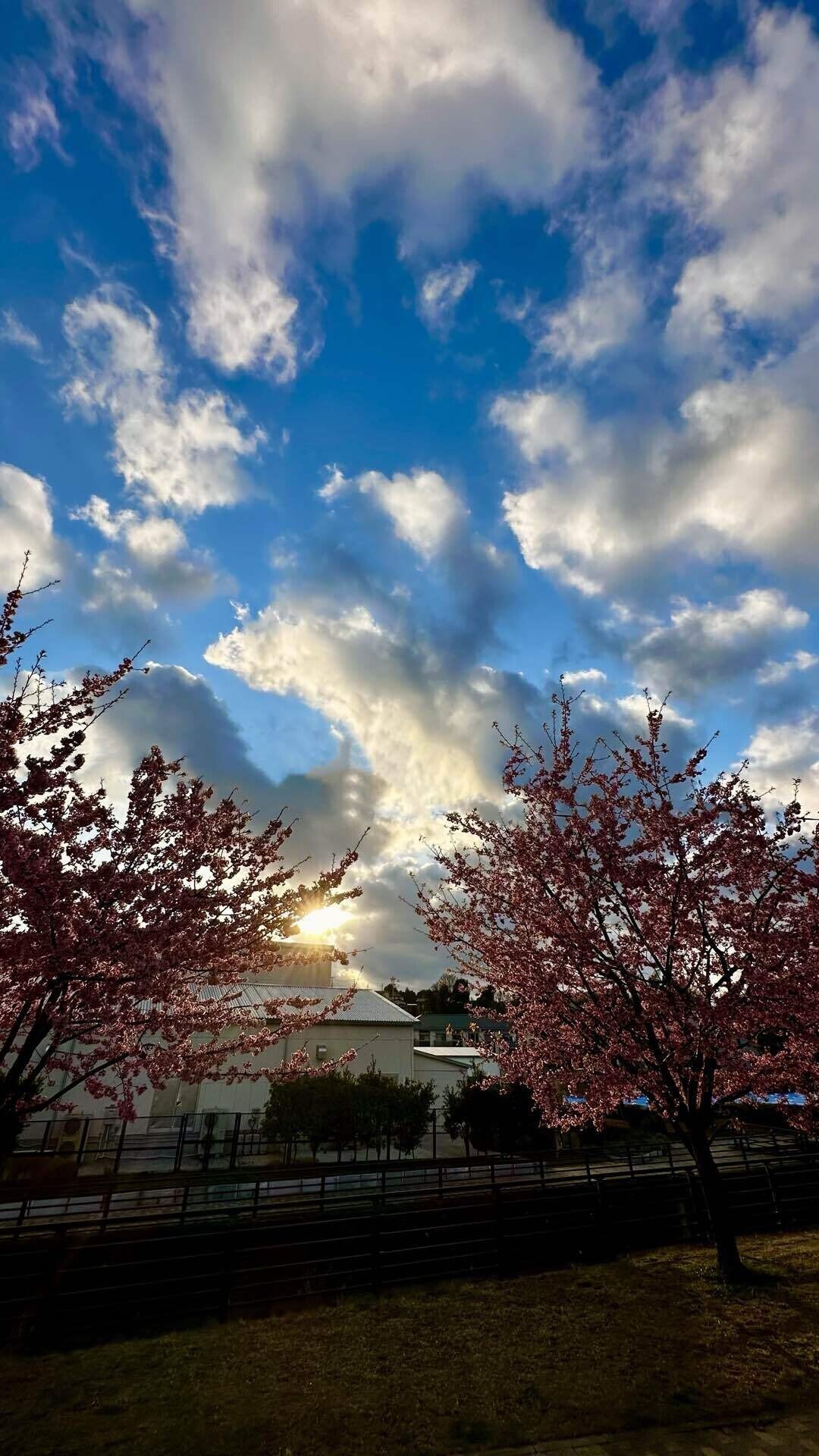 龍神に愛される人になるには☆龍雲の写真付き - 本