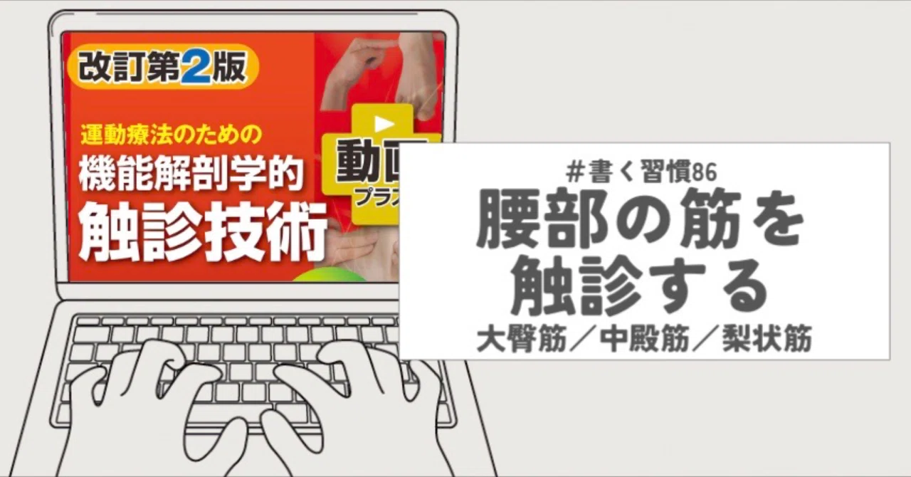 Palpating Lumbar Muscles Part 2 #WritingHabit86｜整形外科で働く柔道整復師