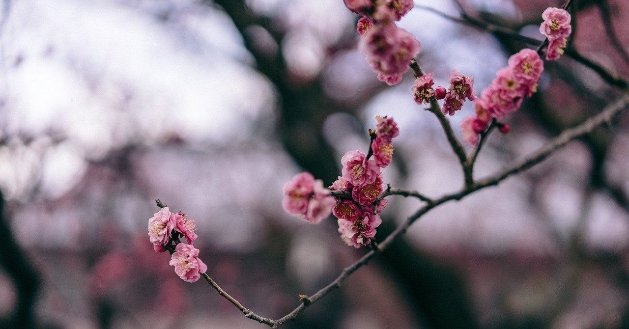 大阪中之島の法律事務所 中之島シティ法律事務所 トピックス一覧