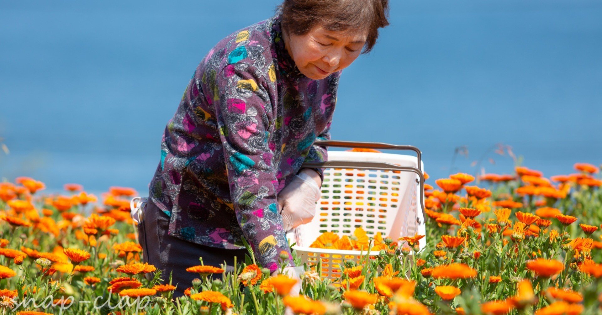 97a6cd19bfaf24293b0d9495dfc25b