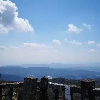 なっしん