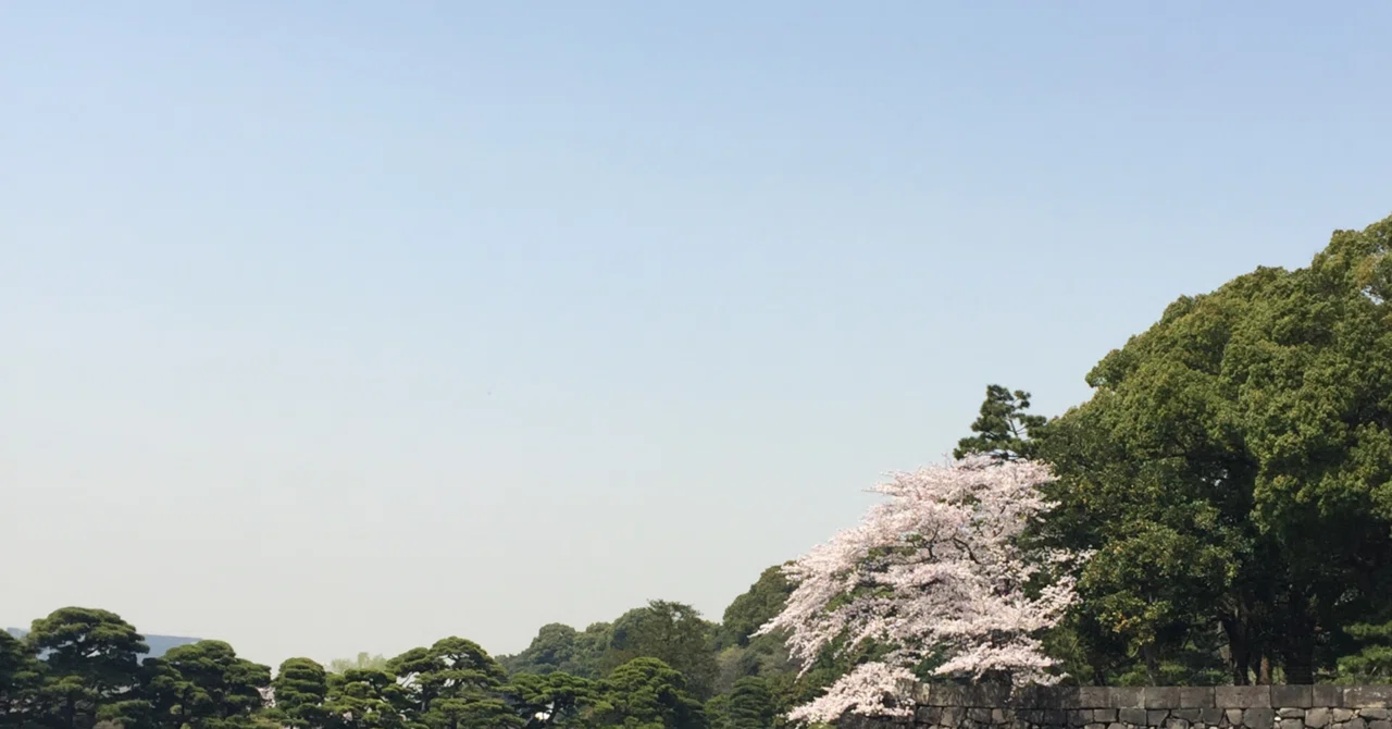 朝 何時 に 起きる 主婦