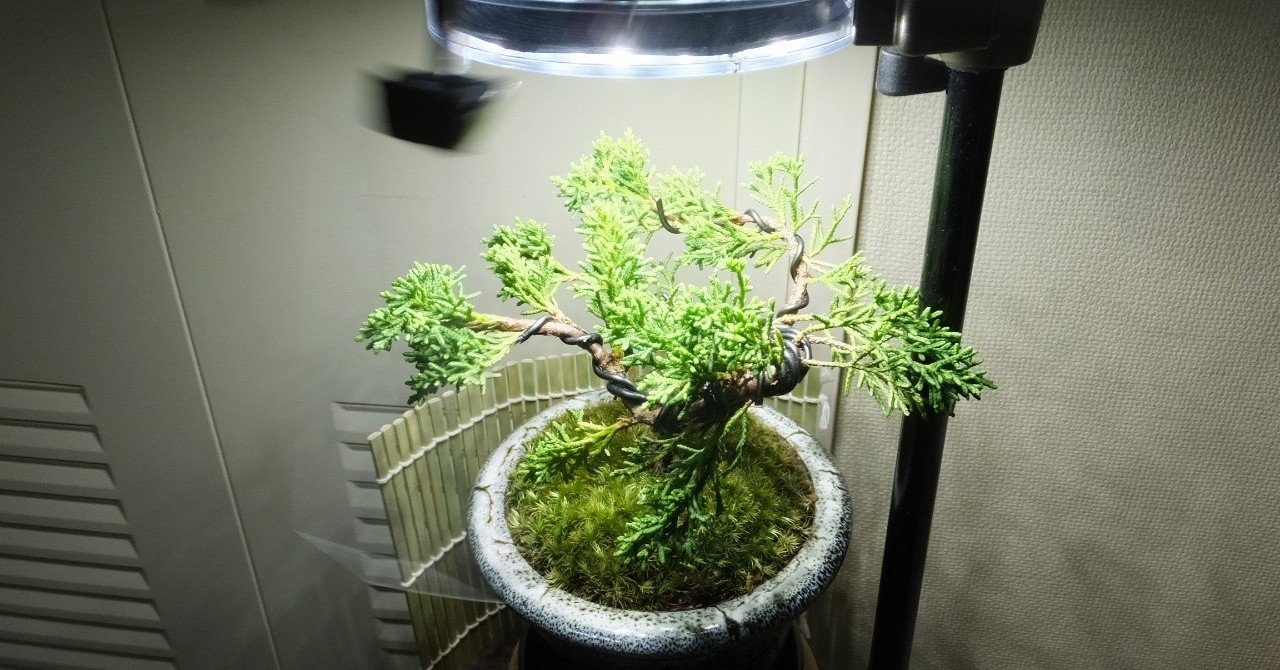 盆栽の苔を枯らさない新しい施肥方法 ｓｅｔｏ研究所 石川 Note