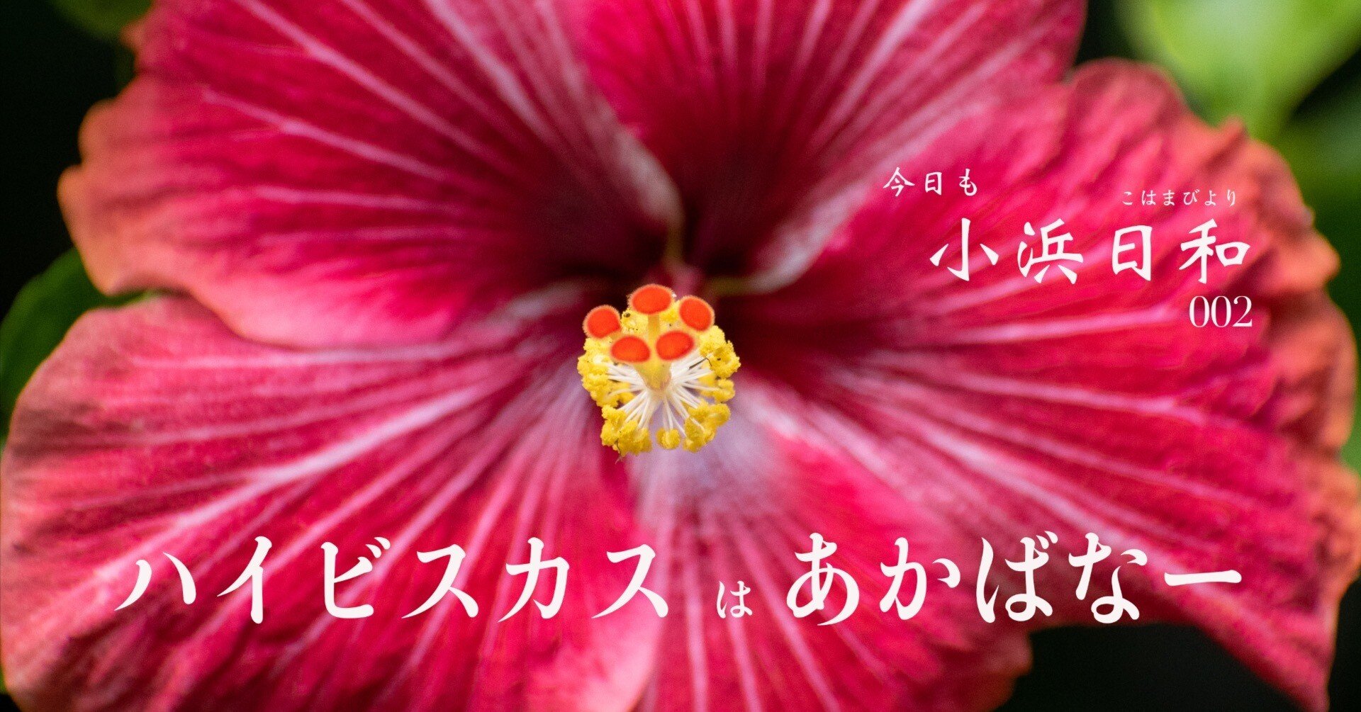 7db7b55474068645c58ba6e252a4ad