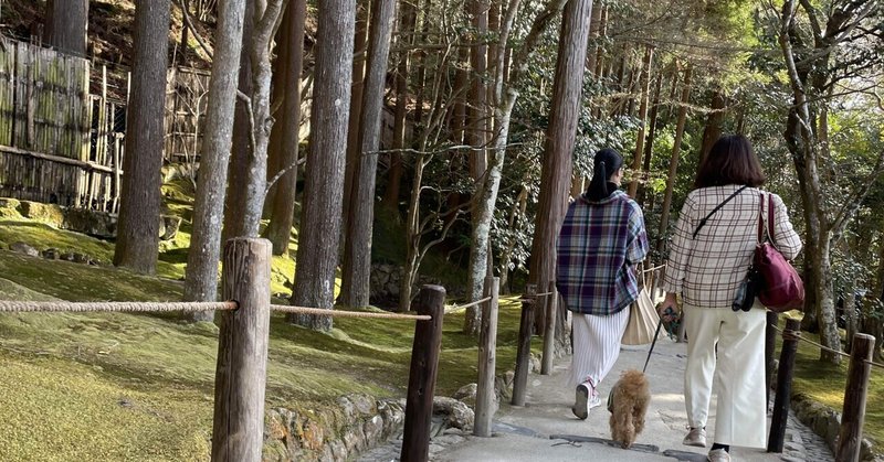 チャンプ京都旅（1日目）