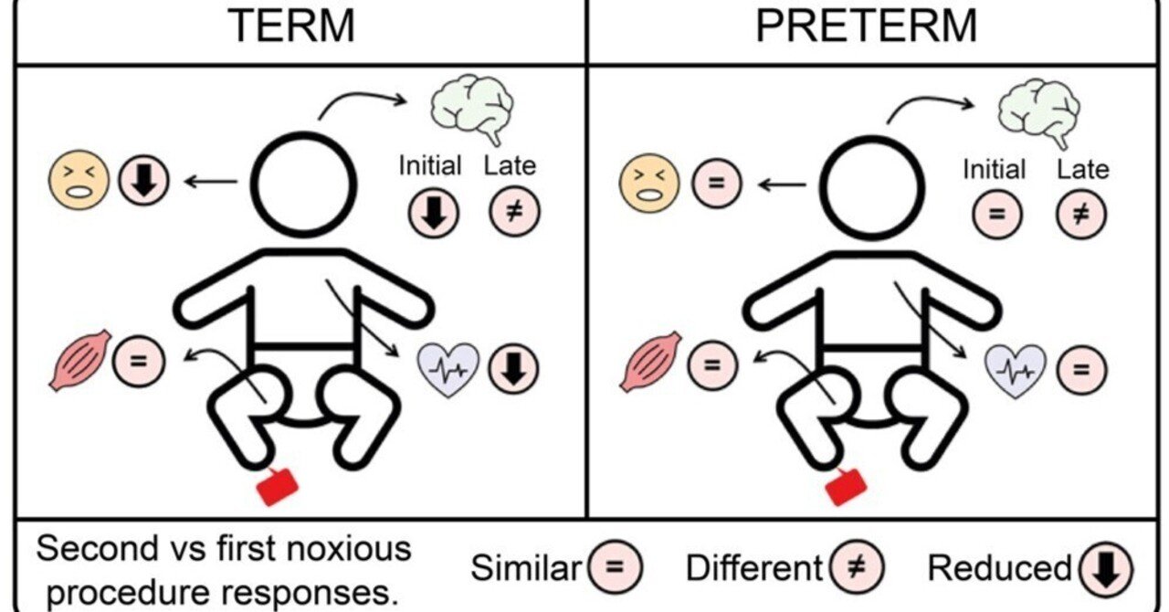 ヒト新生児における痛みに対する慣れの発達的変化｜哉百名, image size:1280x670