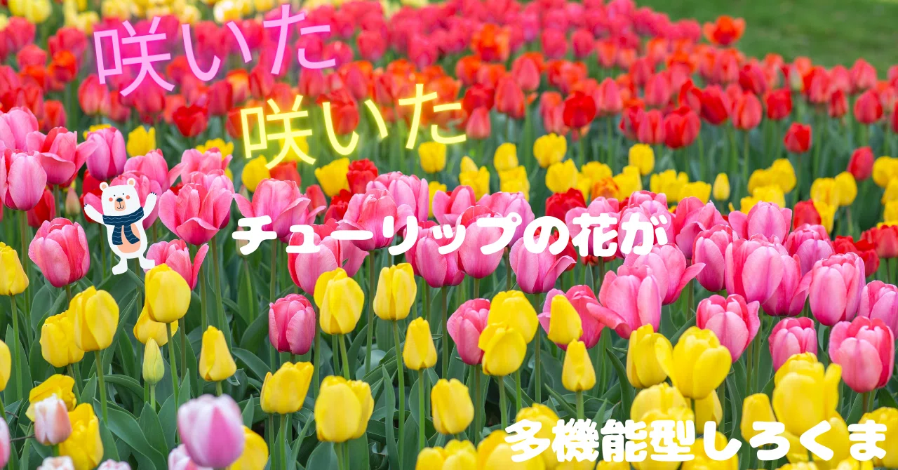?咲いた～咲いた～チューリップの花が～?｜社会福祉法人 恵和会