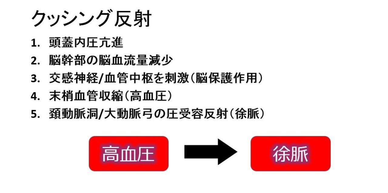 反射作用