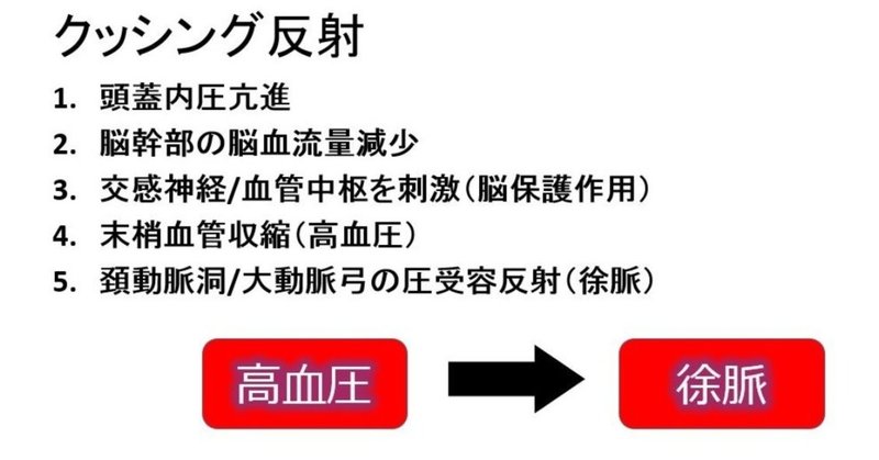 0018 クッシング反射のマニアックなお話 獣医麻酔 集中治療学 Note