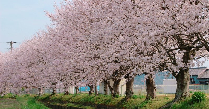 九死に一生を得た父と福山雅治