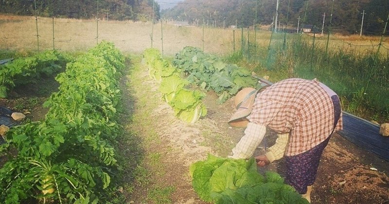 地元のネギは置いてません