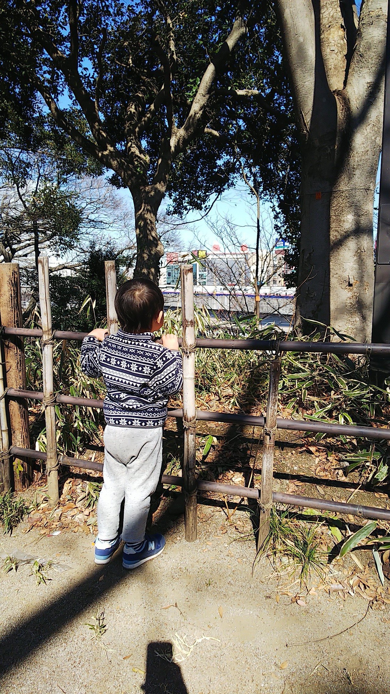 王子飛鳥山公園 新幹線見えて遊具も充実 戦闘力の高い公園でした ろっぽんぎの筋トレ屋さん Note 王子飛鳥山公園 新幹線見えて遊具も充実 戦闘力の高い公園でした ろっぽんぎの筋トレ屋さん Note