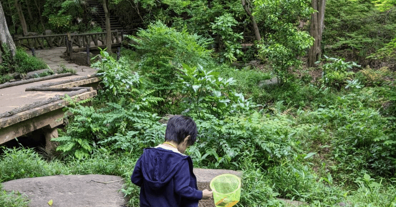 サマースクールは海外か、日本か