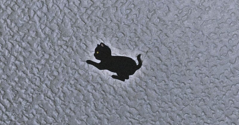 天井にいる小さな黒猫さん