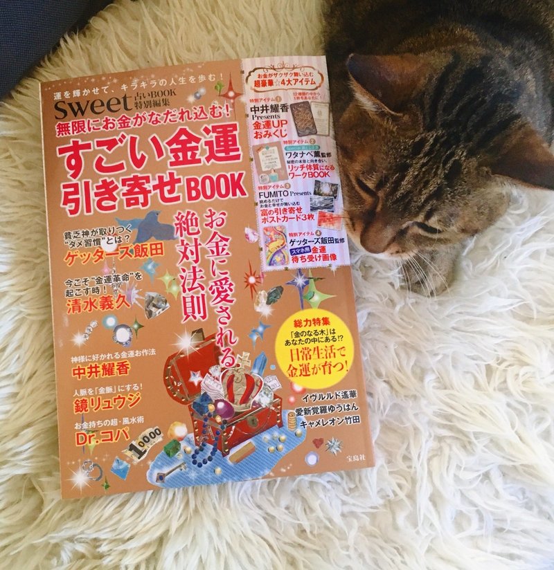 12星座の女の子イラスと制作過程 イラストを描く時に考えている事まとめ 猫屋 Note 12星座の女の子イラスと制作過程 イラストを描く時に考えている事まとめ 猫屋 Note
