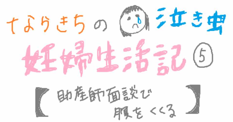 助産師面談で腹をくくる ならきちの泣き虫妊婦生活記 ならきち Note
