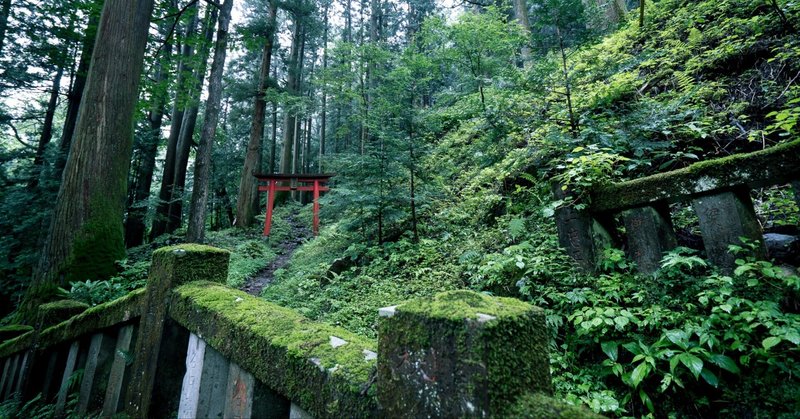 私が神社巡りをはじめた理由①発達障害と狼の聖地