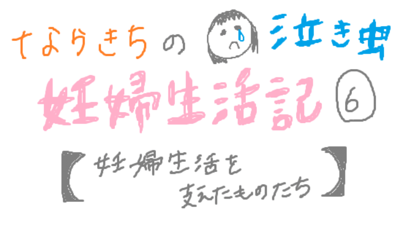 妊婦生活を支えたものたち ならきちの泣き虫妊婦生活記 ならきち Note