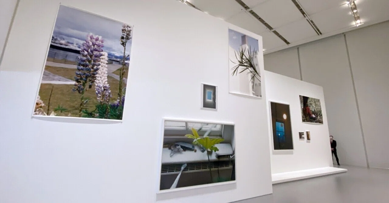 ヴォルフガング・ティルマンス展「Moments of life」｜江口 敬｜写真家
