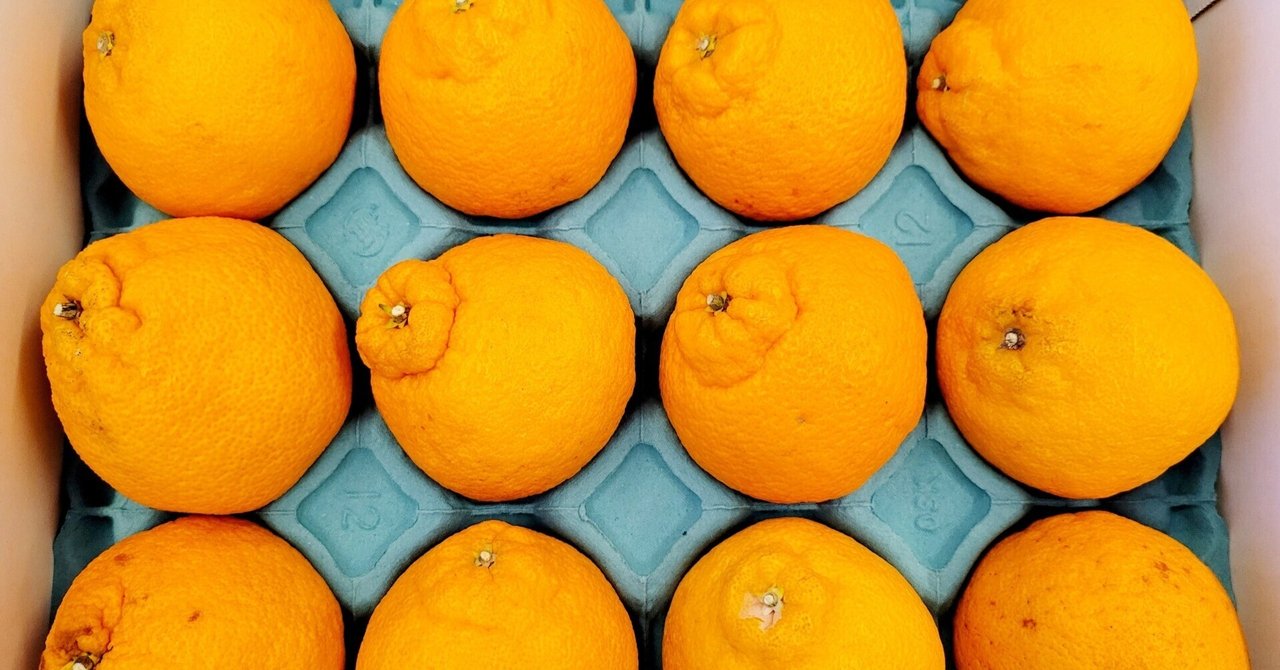 ふるさと納税レポート】和歌山県産でこぽん🍊｜Yukihiro🧸