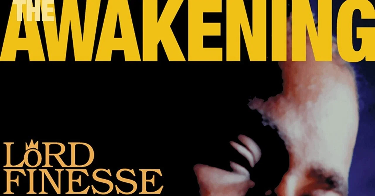 Lord Finesse : The Awakening｜hsysblog
