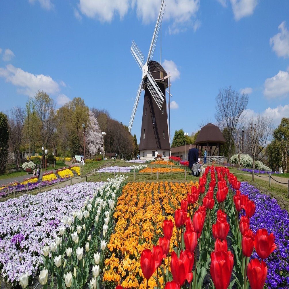 花博記念公園鶴見緑地2022年4月4日【桜,チューリップ】｜レタス