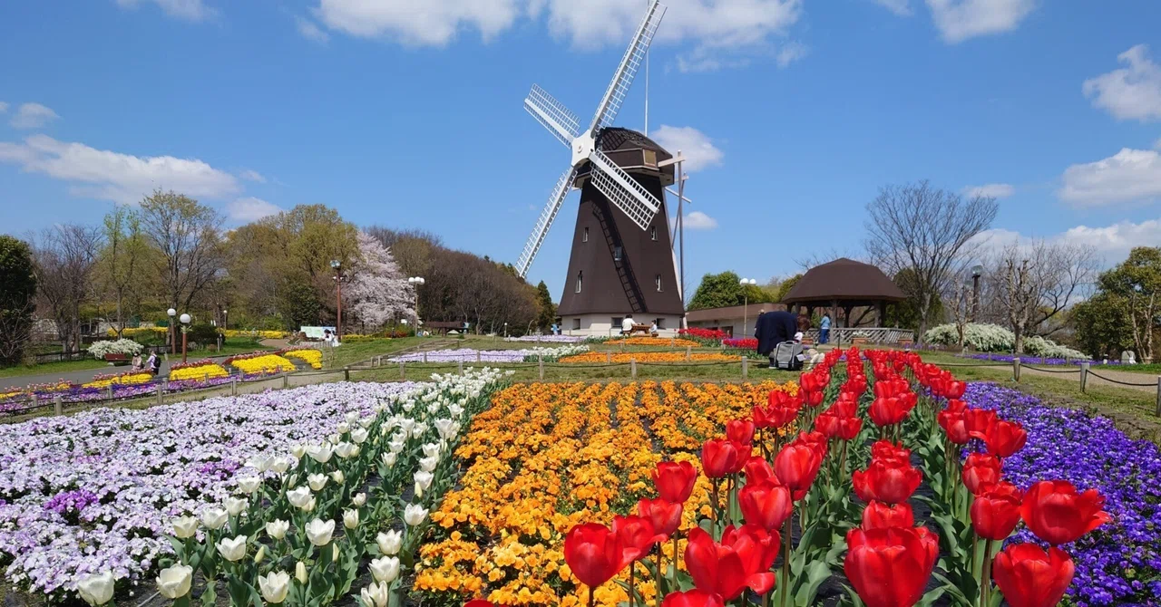 花博記念公園鶴見緑地2022年4月4日【桜,チューリップ】｜レタス