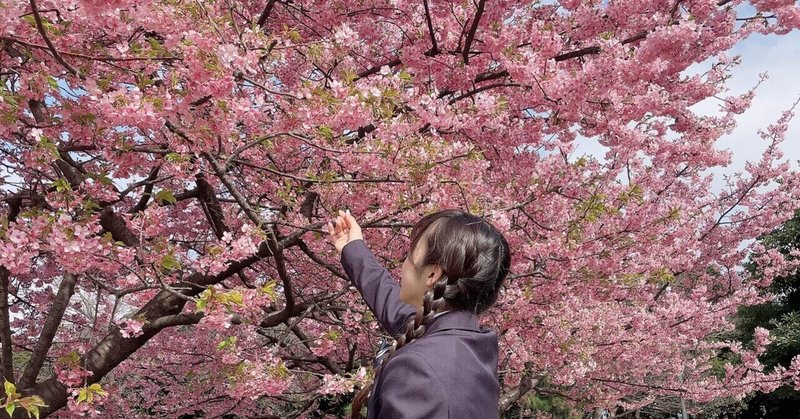 私が生まれた日も桜が咲いた日だった