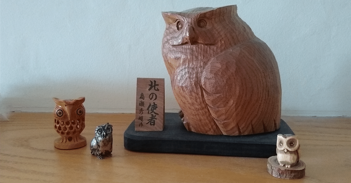  バード　owl フクロウ アメリカキンメフクロウ - eBird