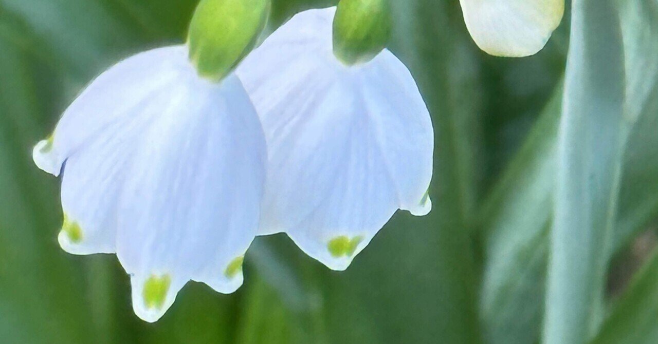 植物図鑑 『有毒編』 - 有毒植物｜EGGSEED｜note