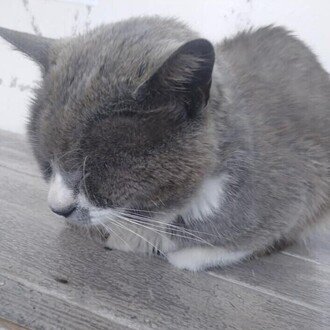 トップに移動