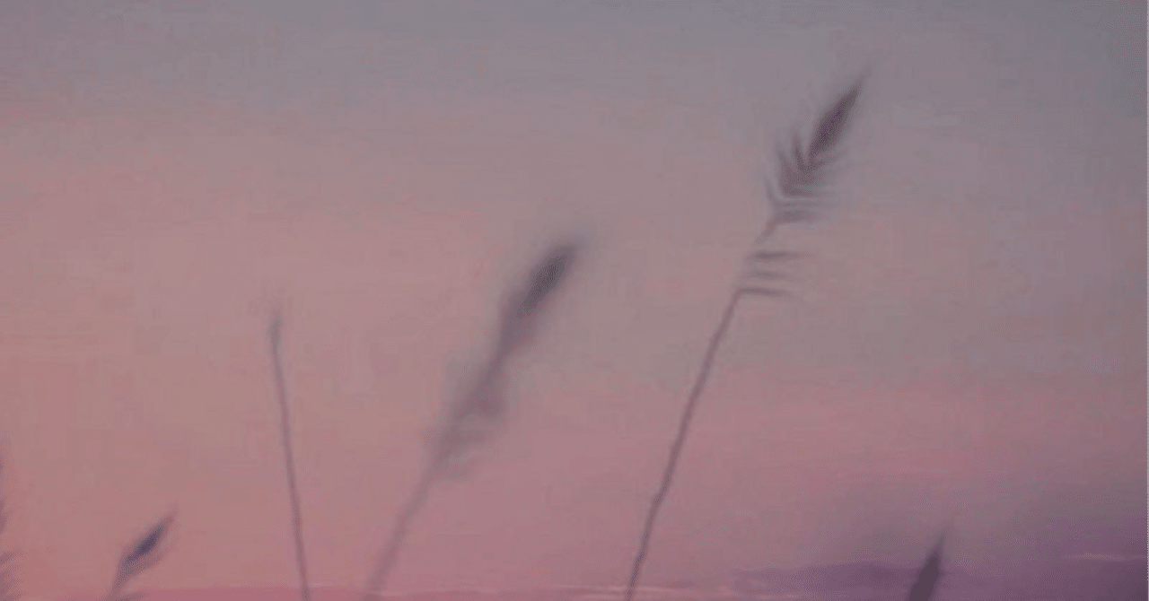 夜更けの川に落ち葉は流れて 著：西村賢太｜jed（ジェド）JUNKY店主