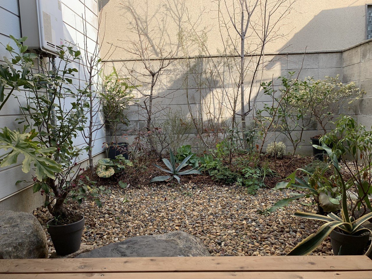 庭の機能性と美観｜平屋私庭日記＃12｜ライツ社