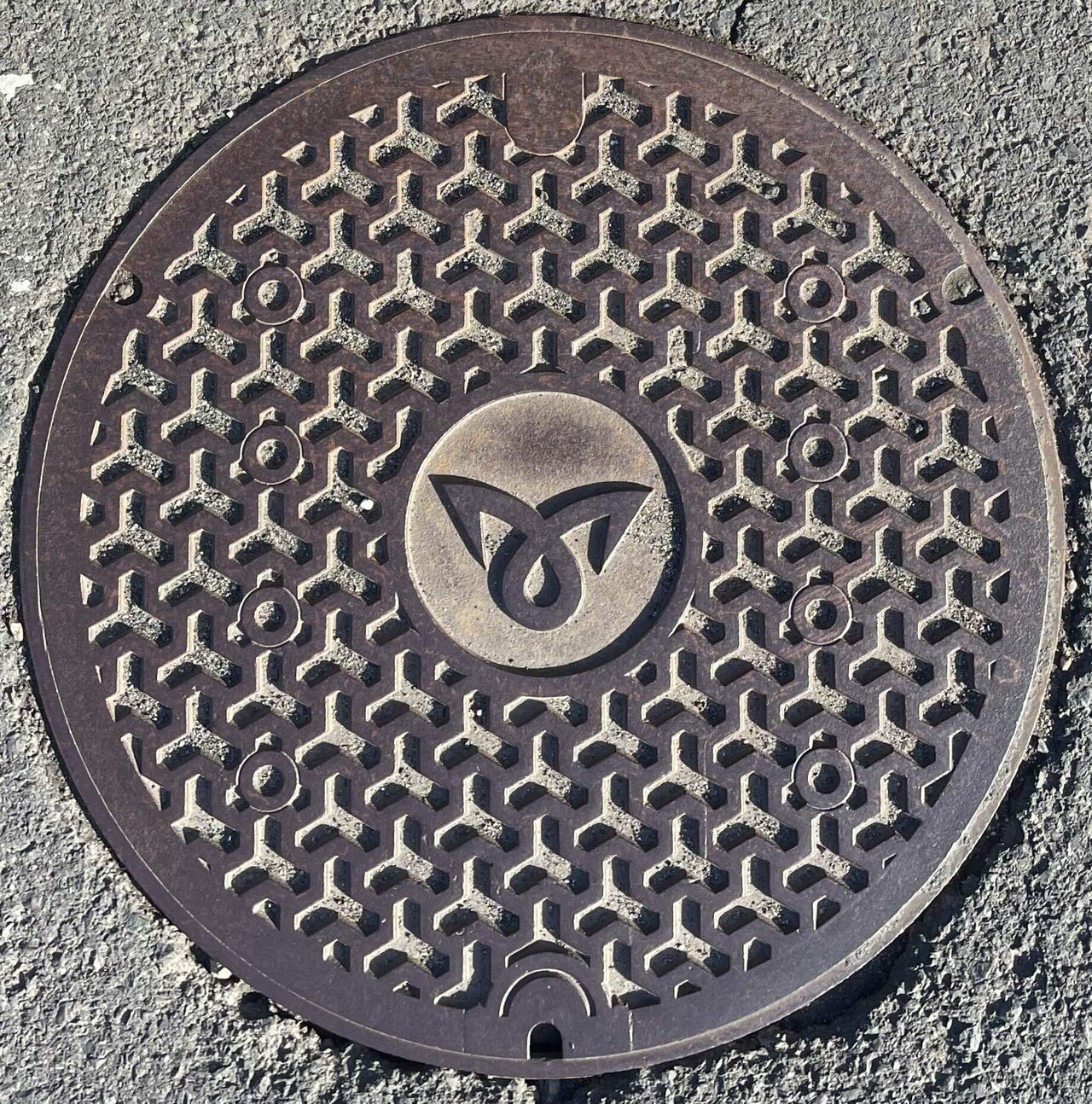 京都府京丹後市 （旧中郡峰山町） マンホールの蓋｜aptx4869