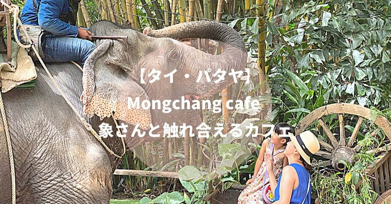 【タイ・パタヤ】Mongchang cafe 🐘さんと触れ合えるカフェ
