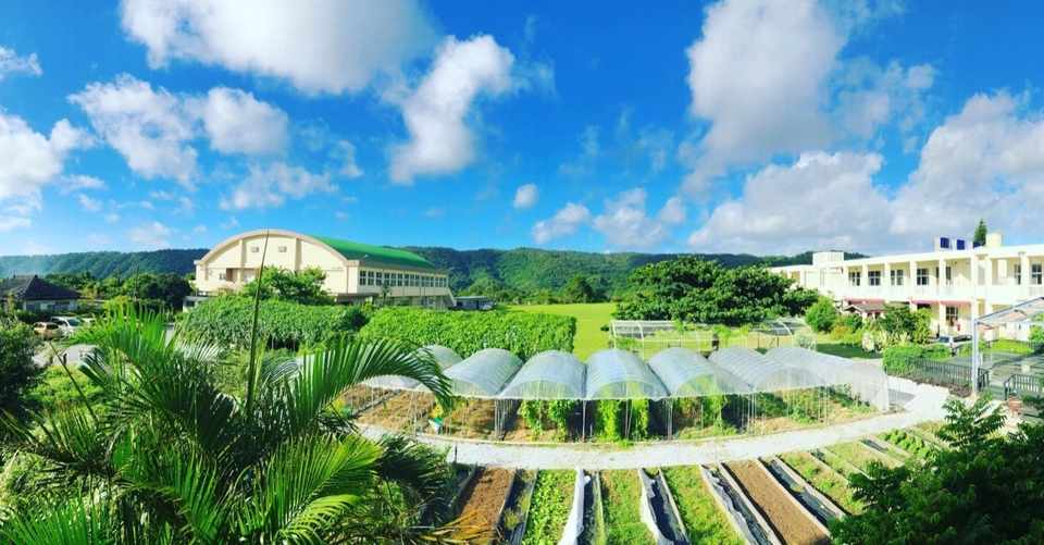 家族で満足 沖縄北部のおすすめ宿 あいあいファーム なかとあきら Akira Nakato Note