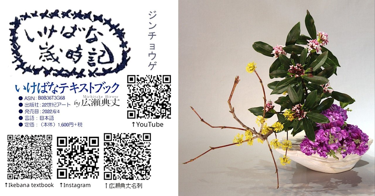 富貴蘭 変わり花「金星(kinbosi)」の開花！ | 豊の国の翁