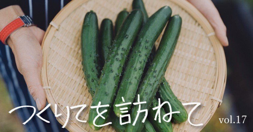 メインは飾れないけど、欠かせない野菜、きゅうりの話｜OREC公式note