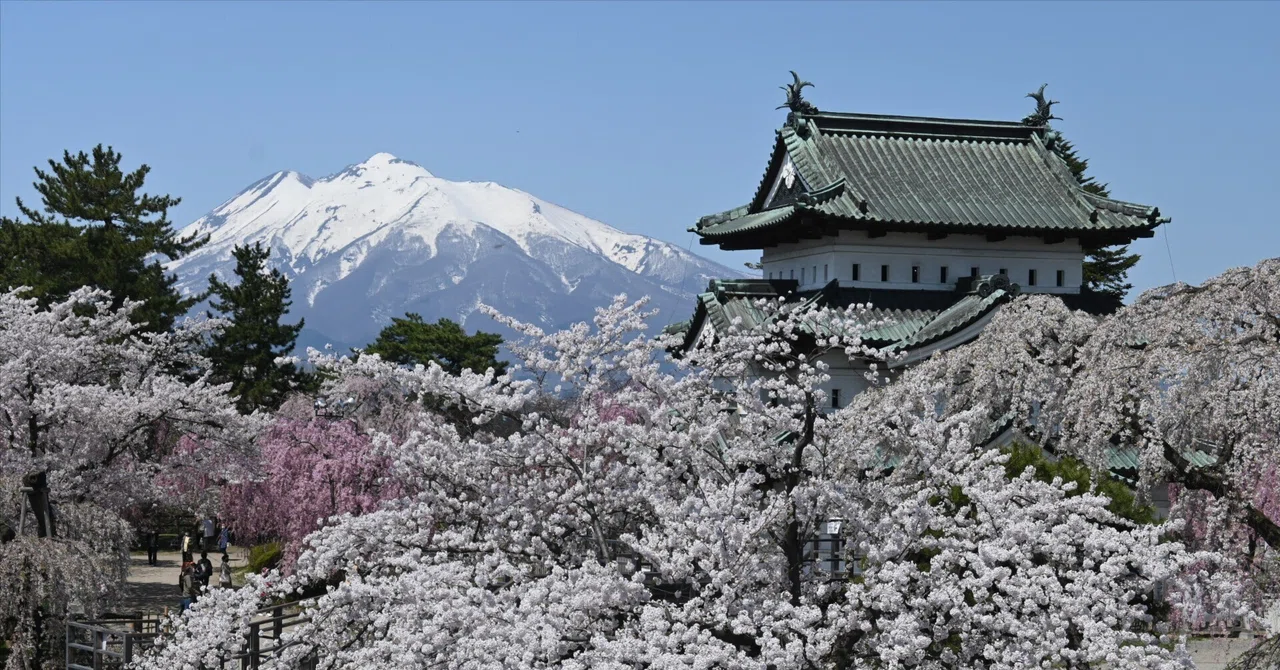 【青森】 弘前の桜|東横インフォメーション|note