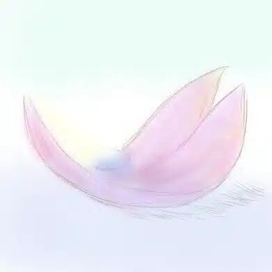 透影 弦