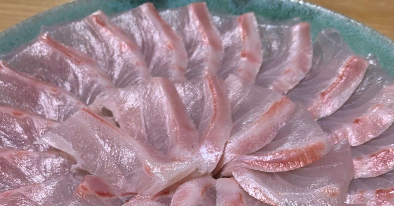 熟成魚 の新着タグ記事一覧 Note つくる つながる とどける