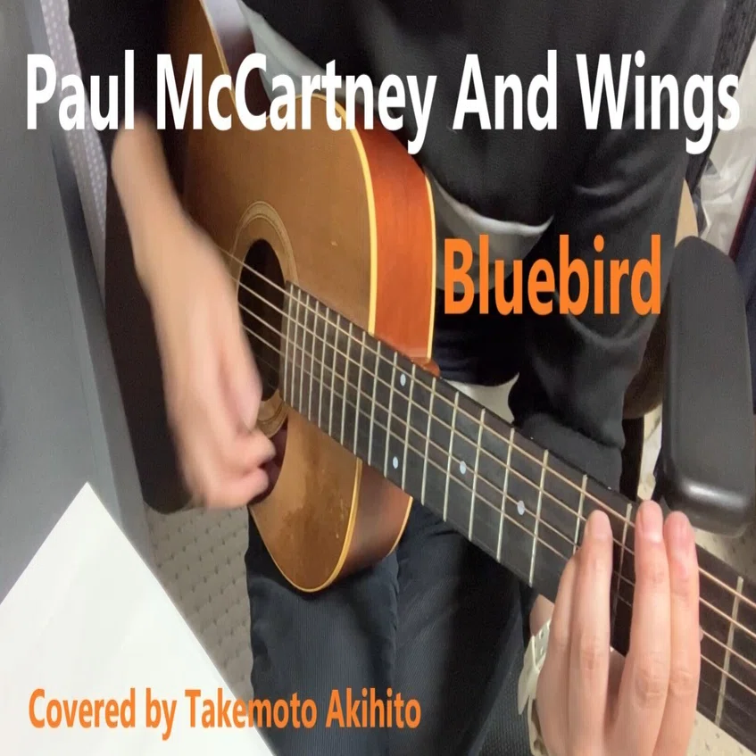 音をつむぐ㊱「ポールマッカートニー/Bluebird」歌ったみた!｜take