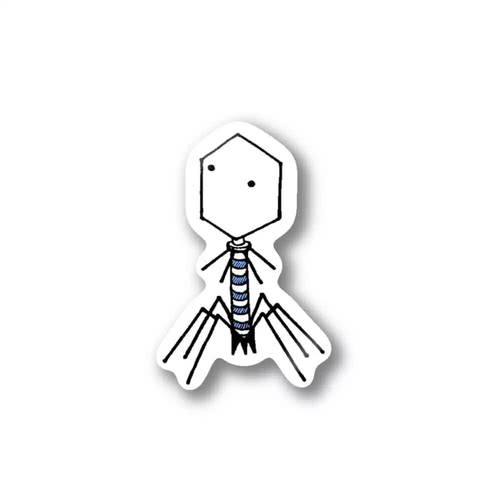 t2phage