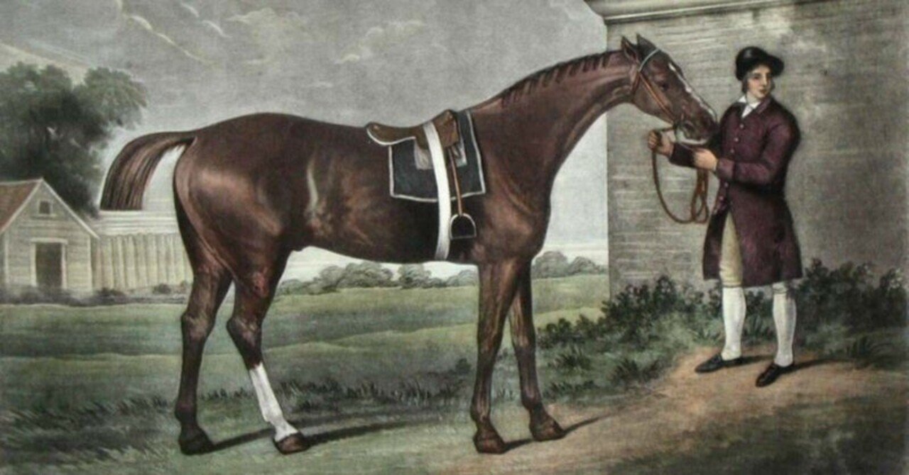 サラブレッド系統分類 まとめ｜mokomoko競馬研究所