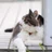 nadir_rl