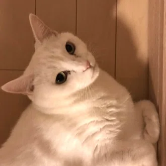 りらこ