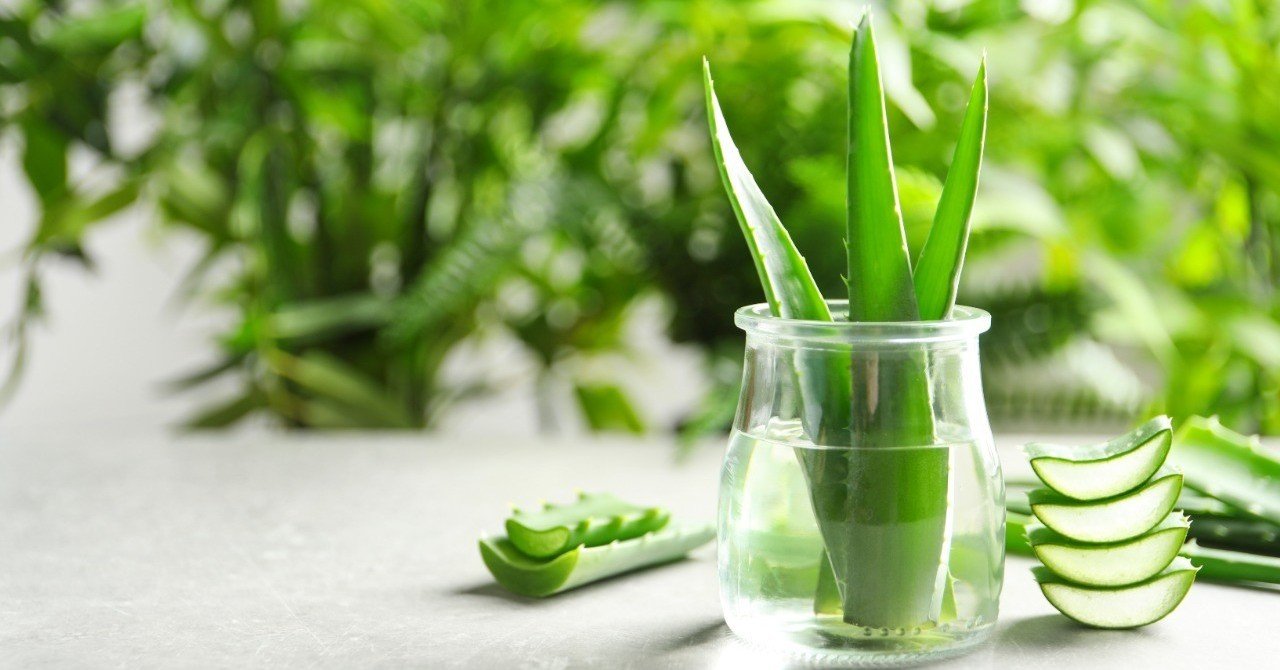 小林製薬グループがアロエに特化したオーガニック化粧品で唯一無二をめざす Beautytech Jp