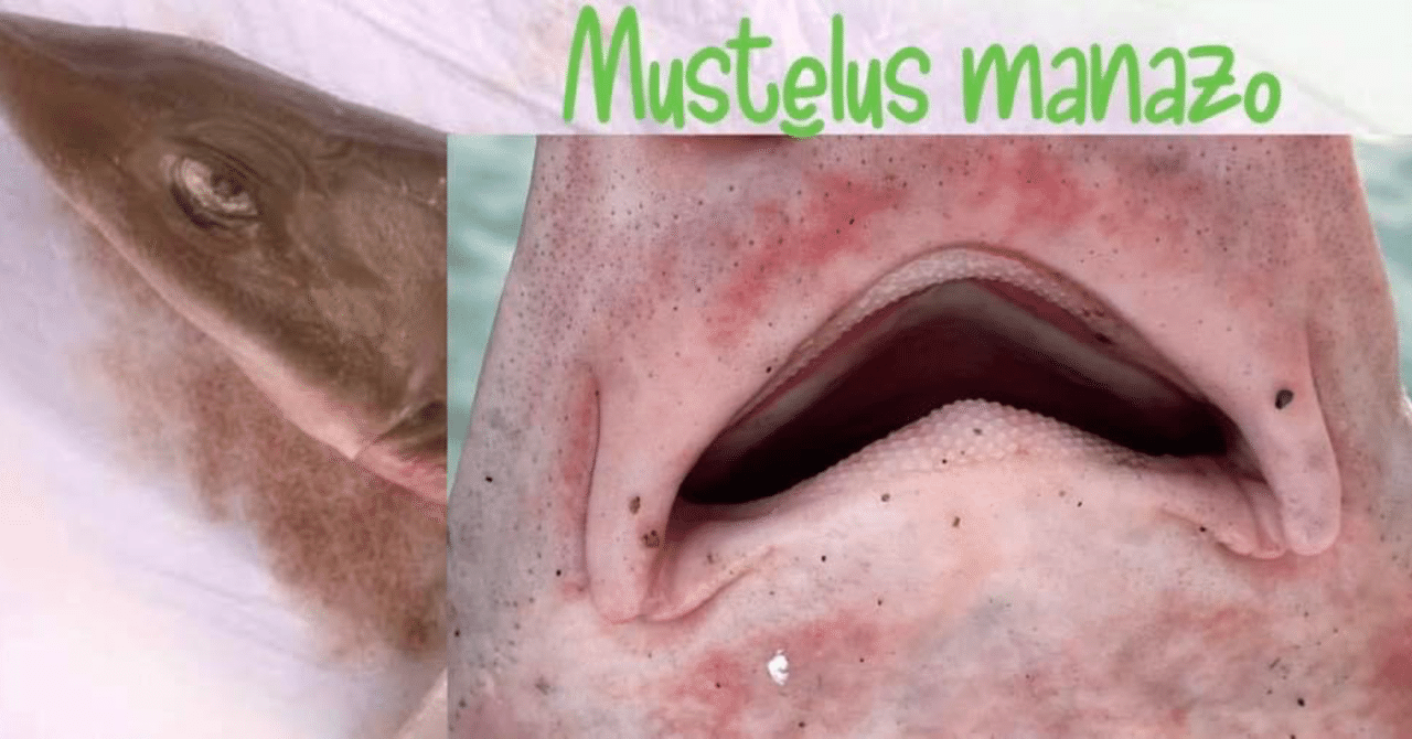 rectangle_large_type_2_96cc2e7