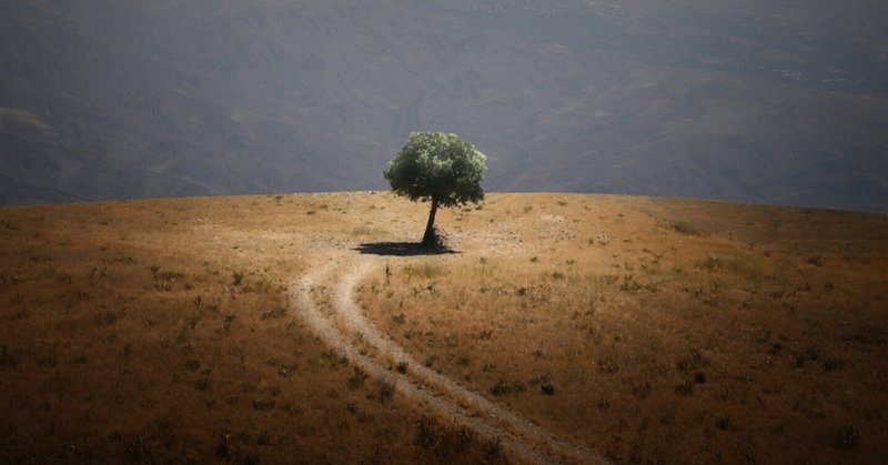 人気の有機化合物